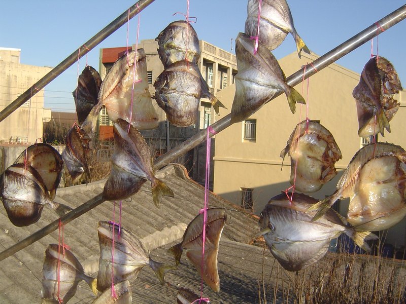 很鮮の象魚乾-1~連魚頭的一斤400