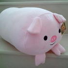 小豬抱枕（和兩隻小貓萬年曆合購100元哦！）