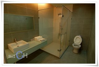 高級磨石瓷磚及乾濕分離衛浴設備