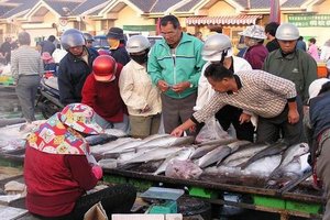 澎湖漁會市場內一早的叫賣盛況