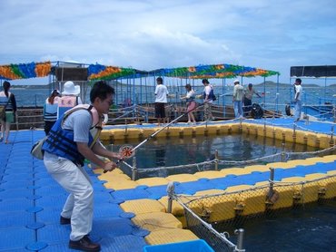 戰吧！海上牧場使用的魚餌是真的魚肉，可不是假餌，不過你一放餌入水，餌就不見了！這裡的石班跟花枝兇狠無比