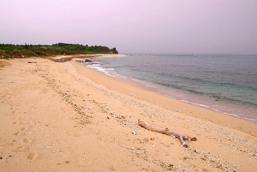 沙灘上的漂流木應該是來自台灣西岸，因為這裡已經接近澎湖本島正東的位置