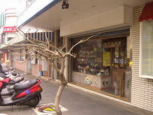 老謝的店位在馬公市最繁華的中正路上，就在郵局的對面