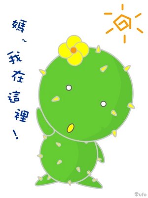 2008我即將在澎湖馬公街頭與你相見囉