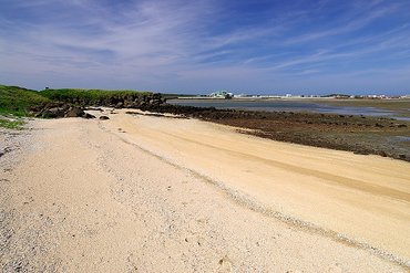 鎮海社區