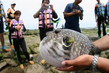 銀海快艇