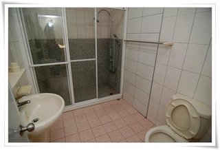 乾濕分離的浴室，還有spa淋浴柱