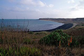 西嶼濱海公路草原與礫灘