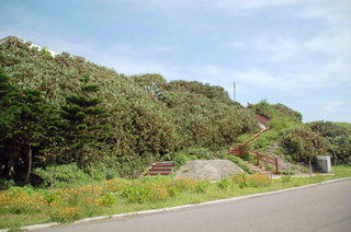 赤崁仙人掌公園入口處的木棧道