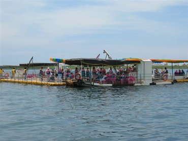 活動場地在海上箱網養殖區，搭船從岸邊過來約莫十分鐘船程