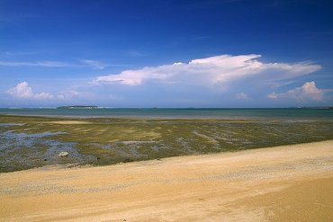 鎮海社區