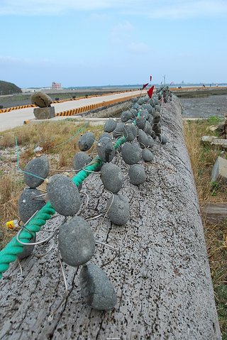 螞蟻是陳扶氣闖出藝術創作名號的經典作品