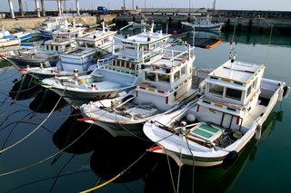 這些漁船大多是近海作業漁船，在附近的海域做短時間魚撈活動